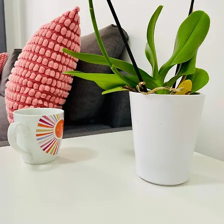 Comfy Flat At The Heart Of * 布达佩斯